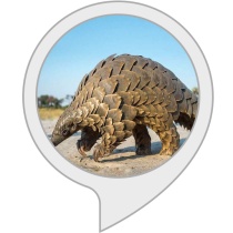 Pangolin Facts