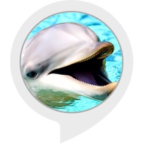 Dolphin Facts Bot for Amazon Alexa