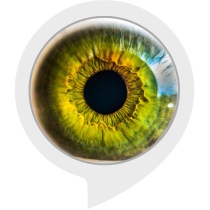 Eyes On You Bot for Amazon Alexa