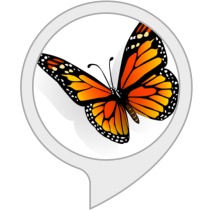 butterfly facts Bot for Amazon Alexa