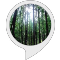 Nature Resources Trivia Bot for Amazon Alexa