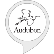 Audubon Bird Songs Bot for Amazon Alexa