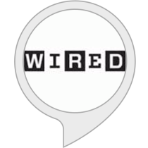 Wired Security Bot for Amazon Alexa