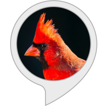 State Bird Quiz Bot for Amazon Alexa
