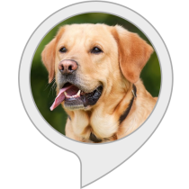 Daily Doggo Bot for Amazon Alexa