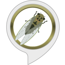 Sleep Sounds: Cicada Sounds Bot for Amazon Alexa