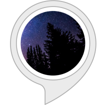 Sleep Sounds: Forest Night Bot for Amazon Alexa