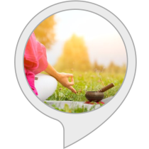 Relaxing Sounds: Ayurveda Music Bot for Amazon Alexa