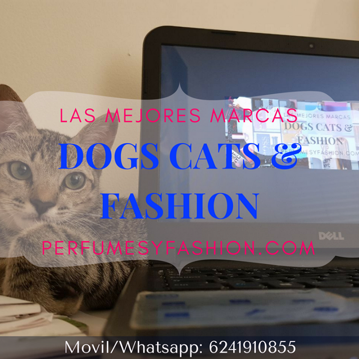 Dogs Cats & Fashion Bot for Facebook Messenger