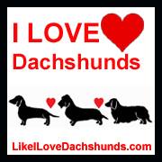 I love Dachshunds Bot for Facebook Messenger