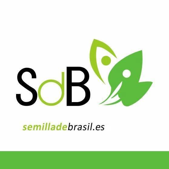 Semilla de Brasil Mayoreo y Distribucion Bot for Facebook Messenger