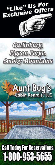 Aunt Bug's Cabin Rentals, LLC Bot for Facebook Messenger