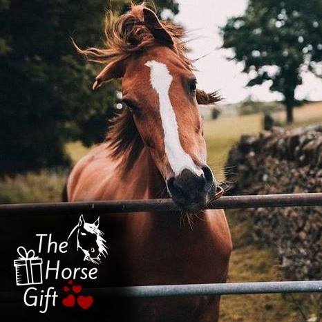 The Horse Gift Bot for Facebook Messenger