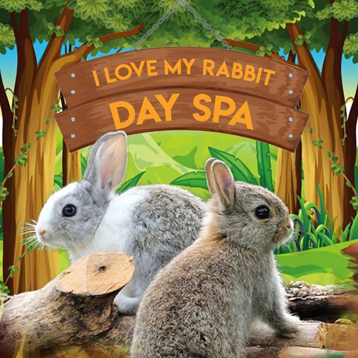 Rabbit & Guinea Pig Shop & Day Spa Bot for Facebook Messenger