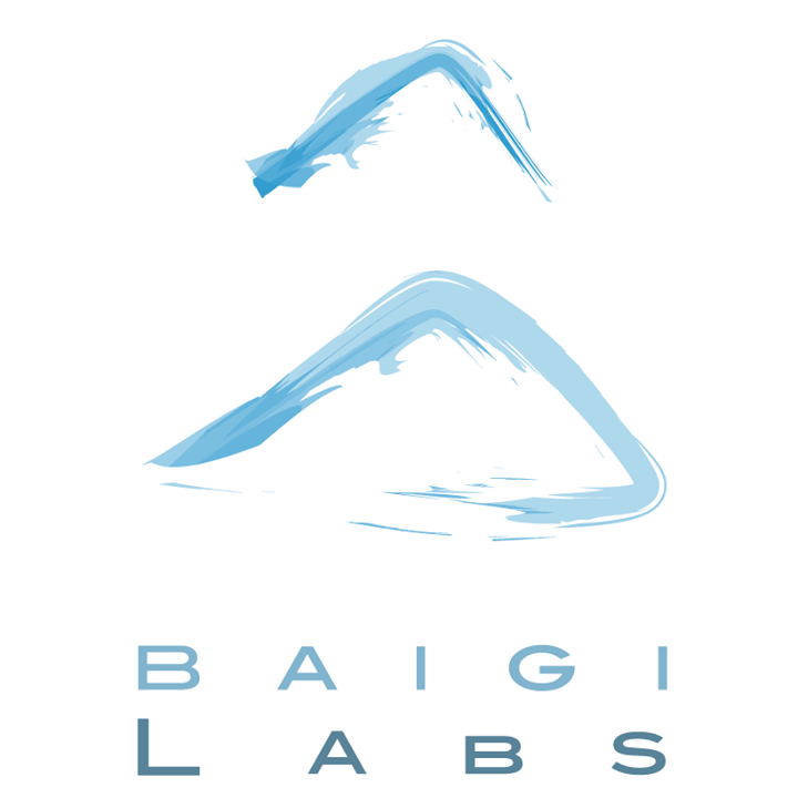 Baigi Labs Bot for Facebook Messenger