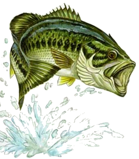 Bass Fishing Tips Bot for Facebook Messenger