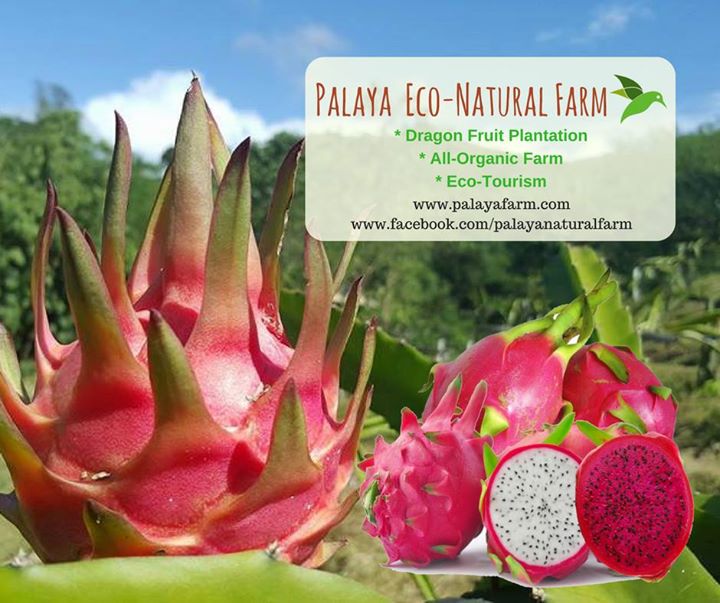 Palaya Natural Farm Bot for Facebook Messenger