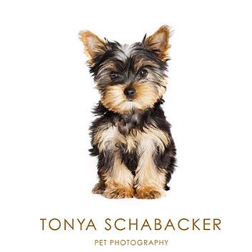 Tonya Pet Photography Bot for Facebook Messenger