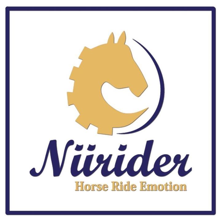 Niirider Bot for Facebook Messenger