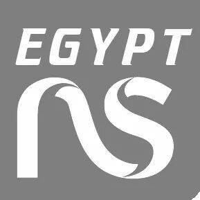 Egypt Network and Software Solutions Bot for Facebook Messenger