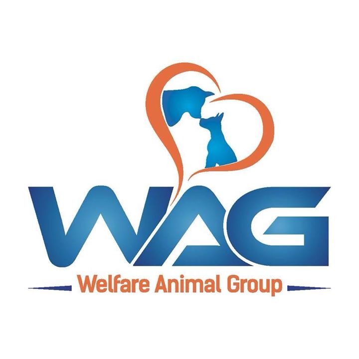WAG - Welfare Animal Group Bot for Facebook Messenger