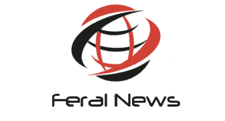 Feral News Bot for Facebook Messenger
