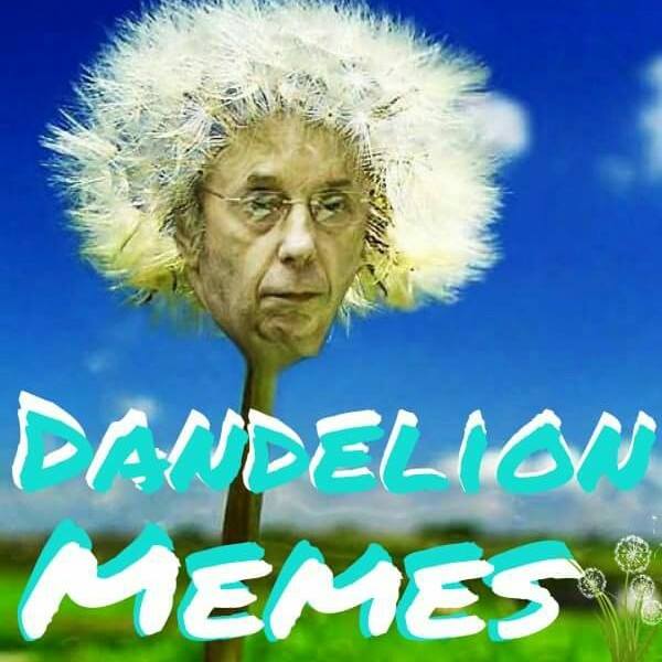 Dandelion Memes Bot for Facebook Messenger