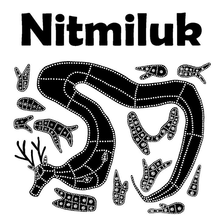 Nitmiluk Tours Bot for Facebook Messenger