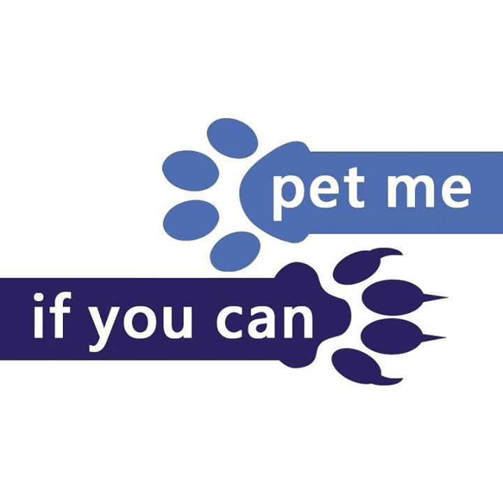 Pet Me If You Can Bot for Facebook Messenger