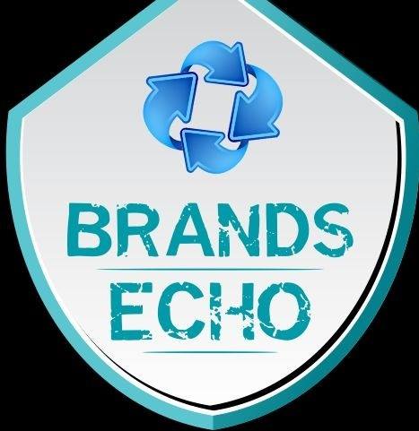 The Brands Echo Nigeria Bot for Facebook Messenger