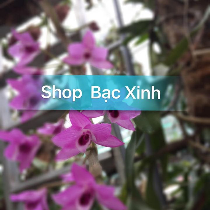 Trang Sức Bạc - Shop Bạc Xinh