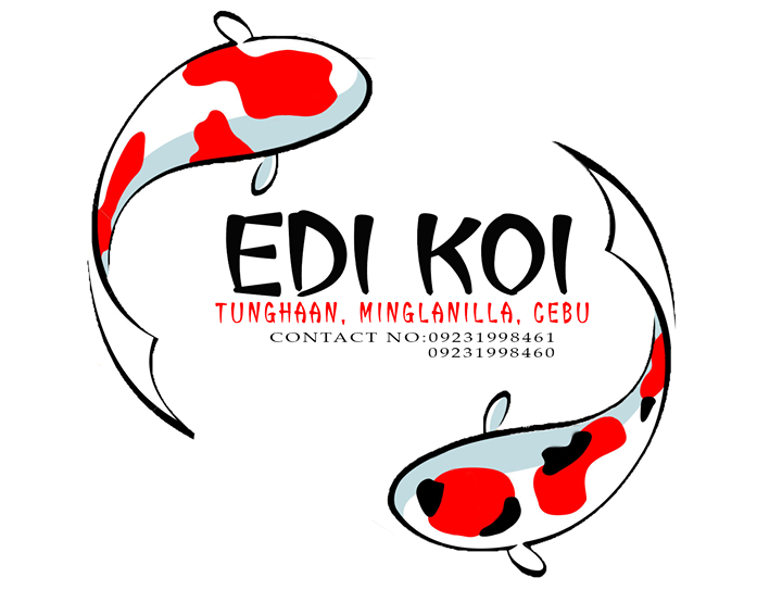 Edi Koi's Page