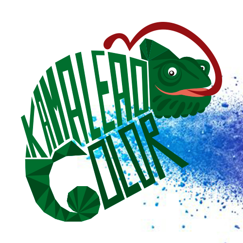 Kamaleão Color Bot for Facebook Messenger