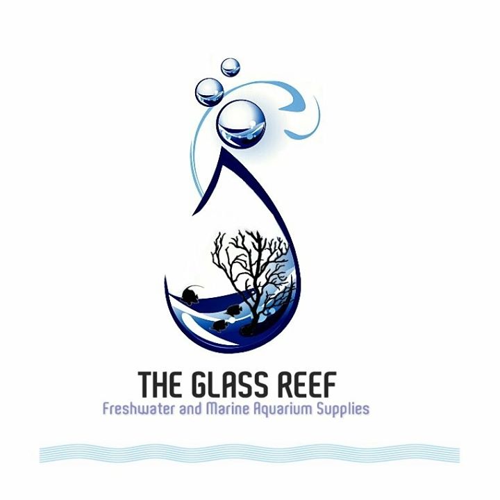 The Glass Reef Bot for Facebook Messenger