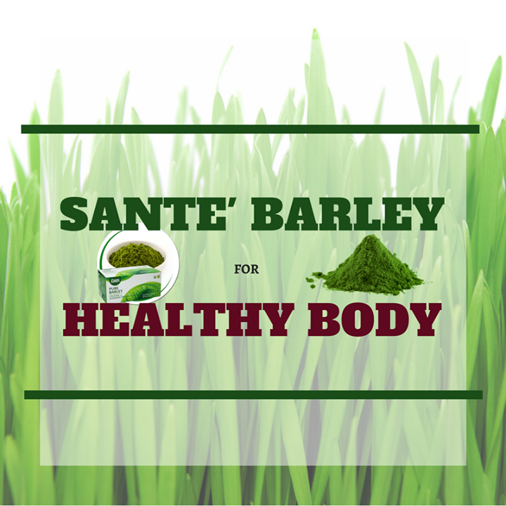 Sante Barley PH Bot for Facebook Messenger