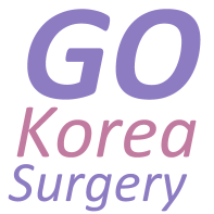 Go Korea Surgery Bot for Facebook Messenger