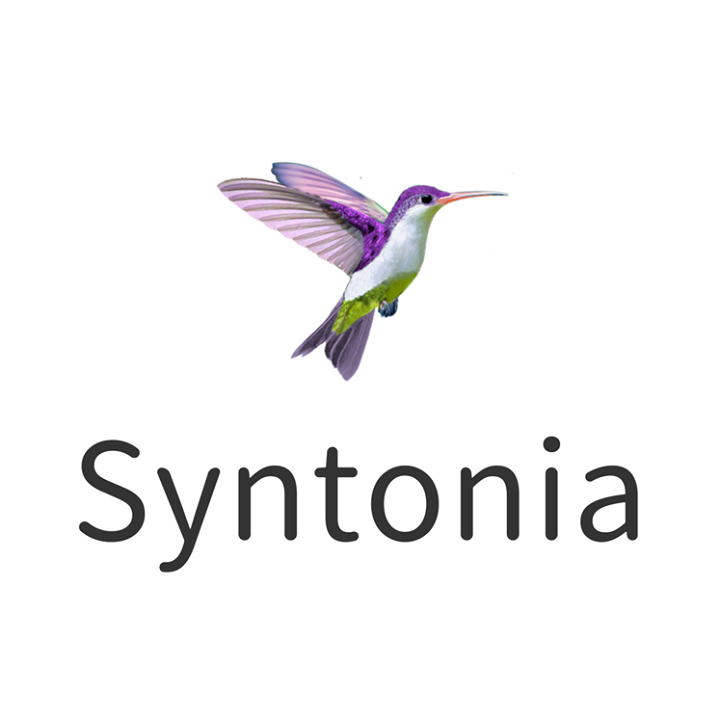 Syntonia Travel Bot for Facebook Messenger