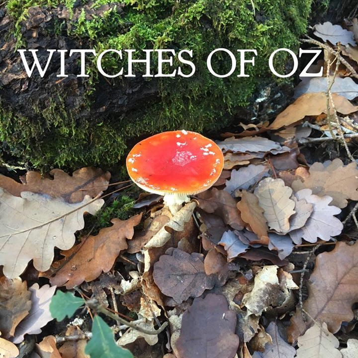 Witches of OZ Bot for Facebook Messenger