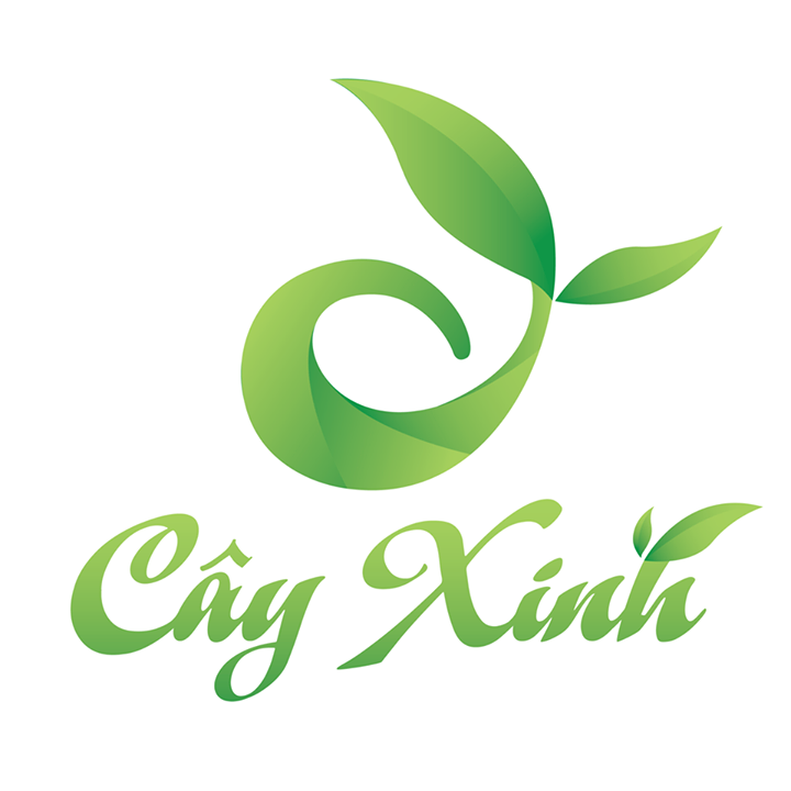 Cây cảnh mini - Cayxinh.vn