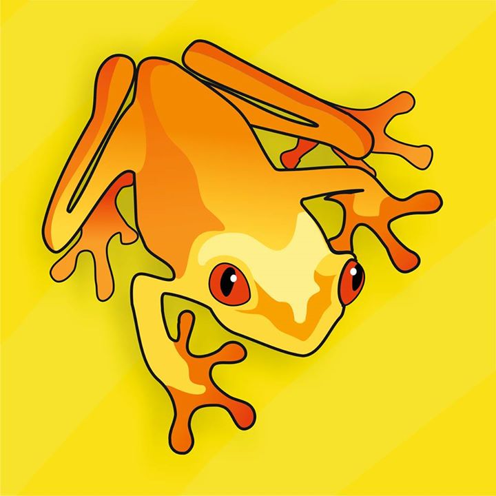 Yellow Frog