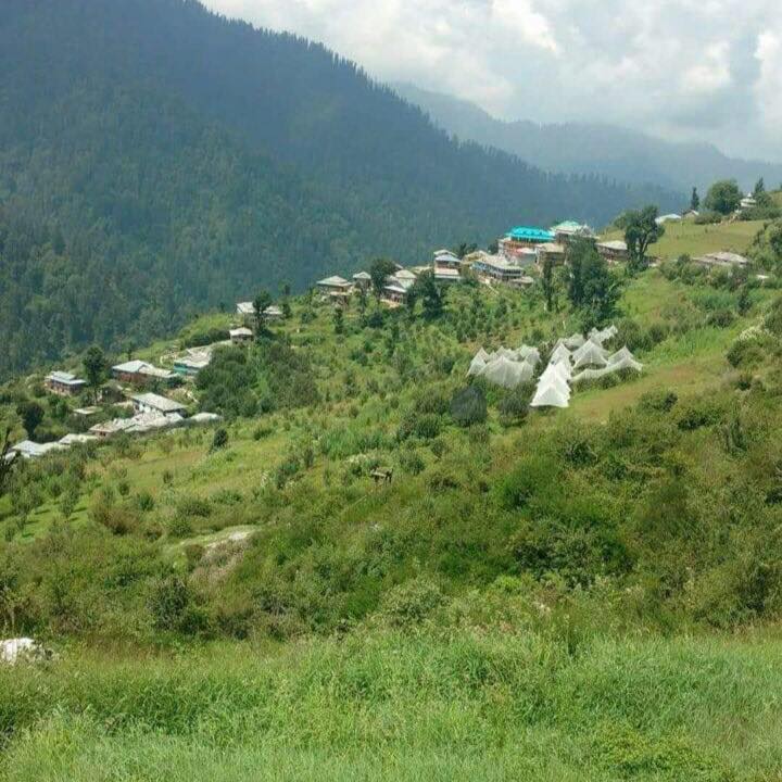 Tirthan Valley Stay