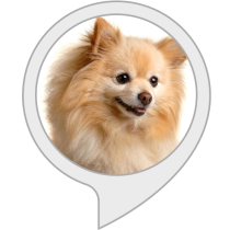 Dog Feed Tracker Bot for Amazon Alexa
