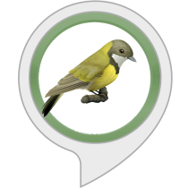 Sleep Sounds: Forest Bird Sounds Bot for Amazon Alexa