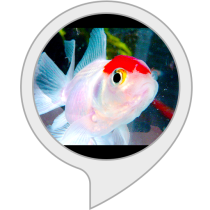 Fish Tank Bot for Amazon Alexa