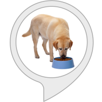 The Dog Feeder Bot for Amazon Alexa