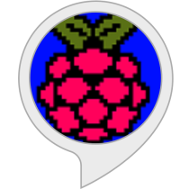 Raspberry Pi Ideas Bot for Amazon Alexa