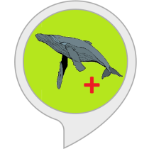 Bora Bora Whale Relaxation Sounds Bot for Amazon Alexa