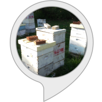 Beekeeping Bot for Amazon Alexa
