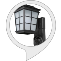 Smart Security Light Bot for Amazon Alexa
