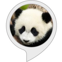 Panda Rescue Bot for Amazon Alexa